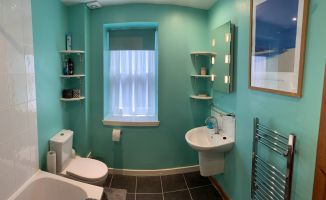 blue bathroom with shower and toilet